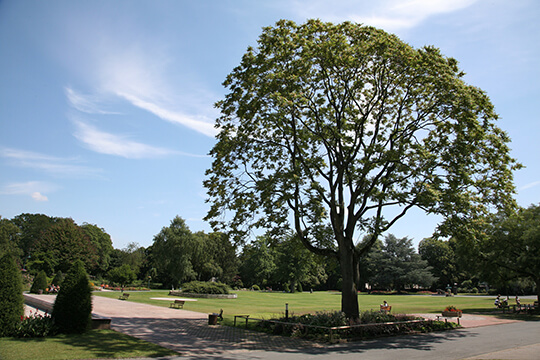 Bürgergarten Hameln